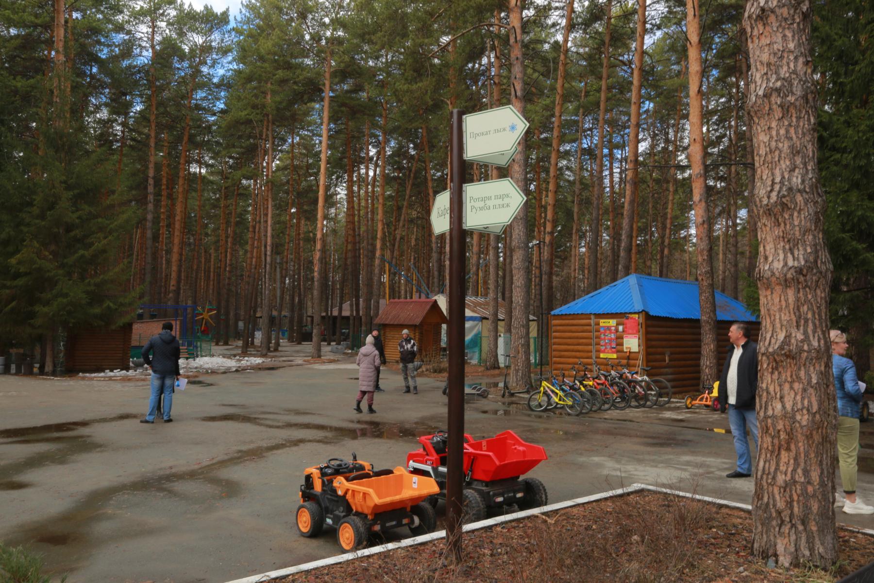 Фото Новосибирцев призывают проголосовать за благоустройство парка «Сосновый бор» 2